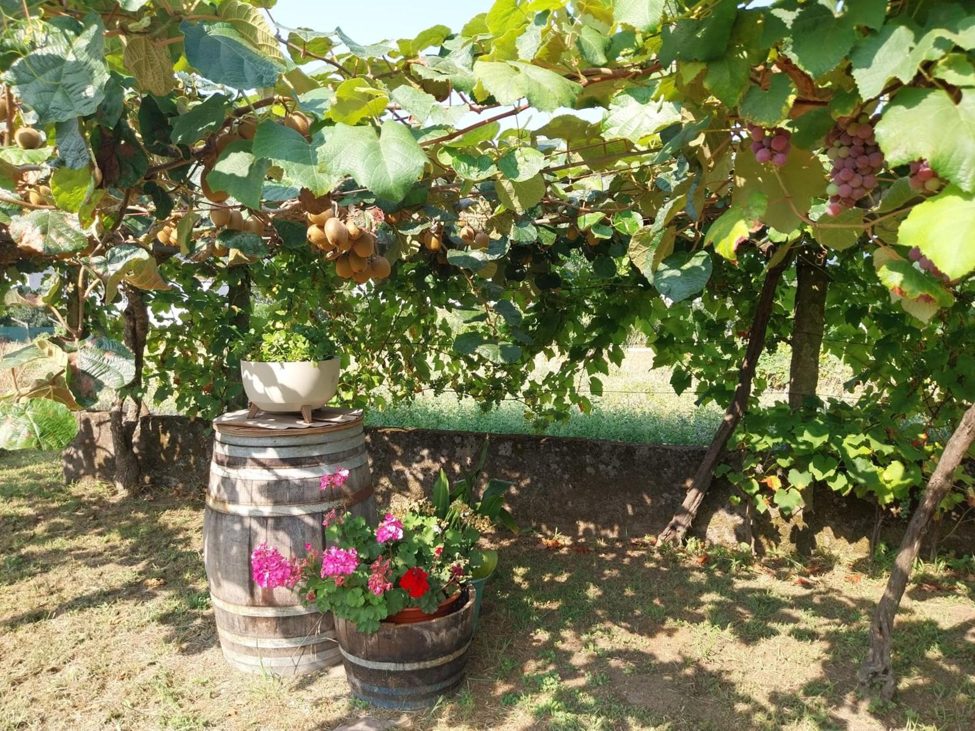 O Berce Padron Casa Rural Zewnętrze zdjęcie
